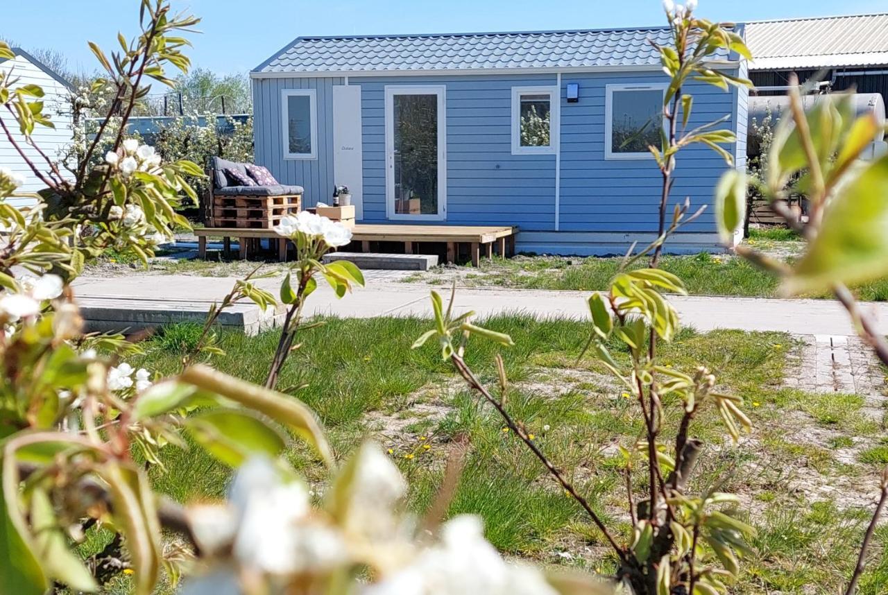 Chalet Elstar Hengstdijk Eksteriør bilde